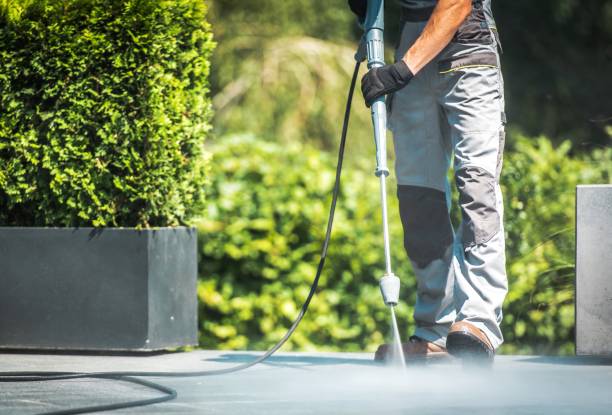 Best Dumpster Area Cleaning  in Hallsville, TX