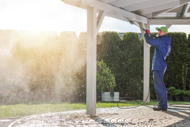 Best Pool Deck Cleaning  in Hallsville, TX