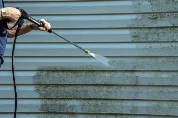 Best Patio and Deck Pressure Washing  in Hallsville, TX