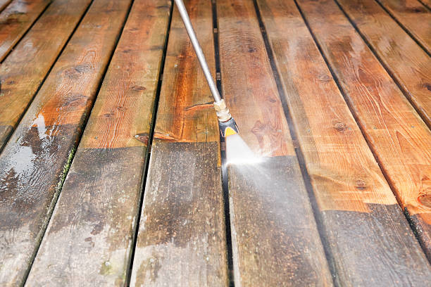 Best Solar Panel Cleaning  in Hallsville, TX