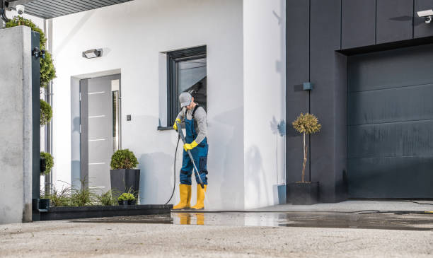 Best Graffiti Removal  in Hallsville, TX